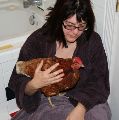 Betsy holding sick shy chicken