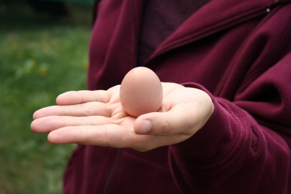 Hand of person in maroon hoodie with brown egg on palm