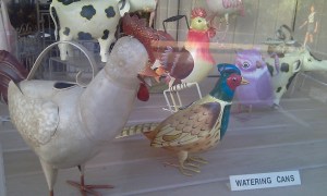 Rockport_Chicken_Watering_Cans