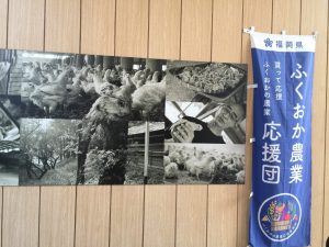 Tokyo Ginza Chicken Street Ad